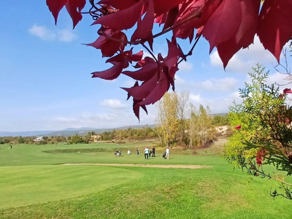 16. VINSKI TURNIR U GOLFU 2024.