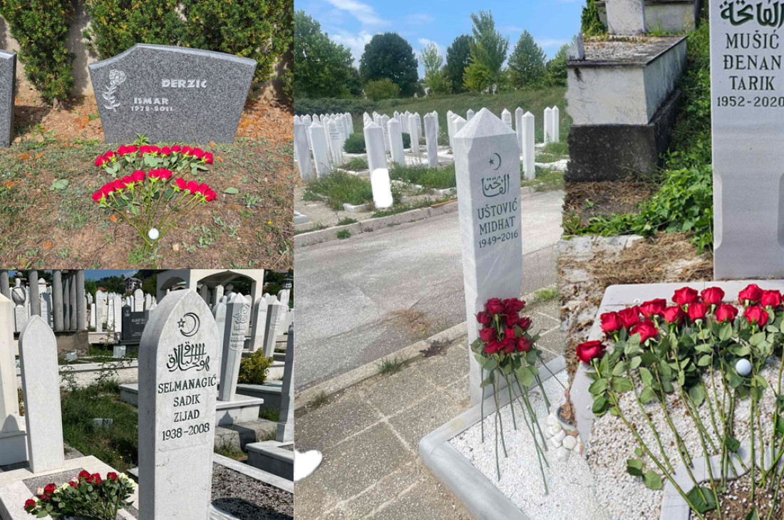 22 Ruže za golfere